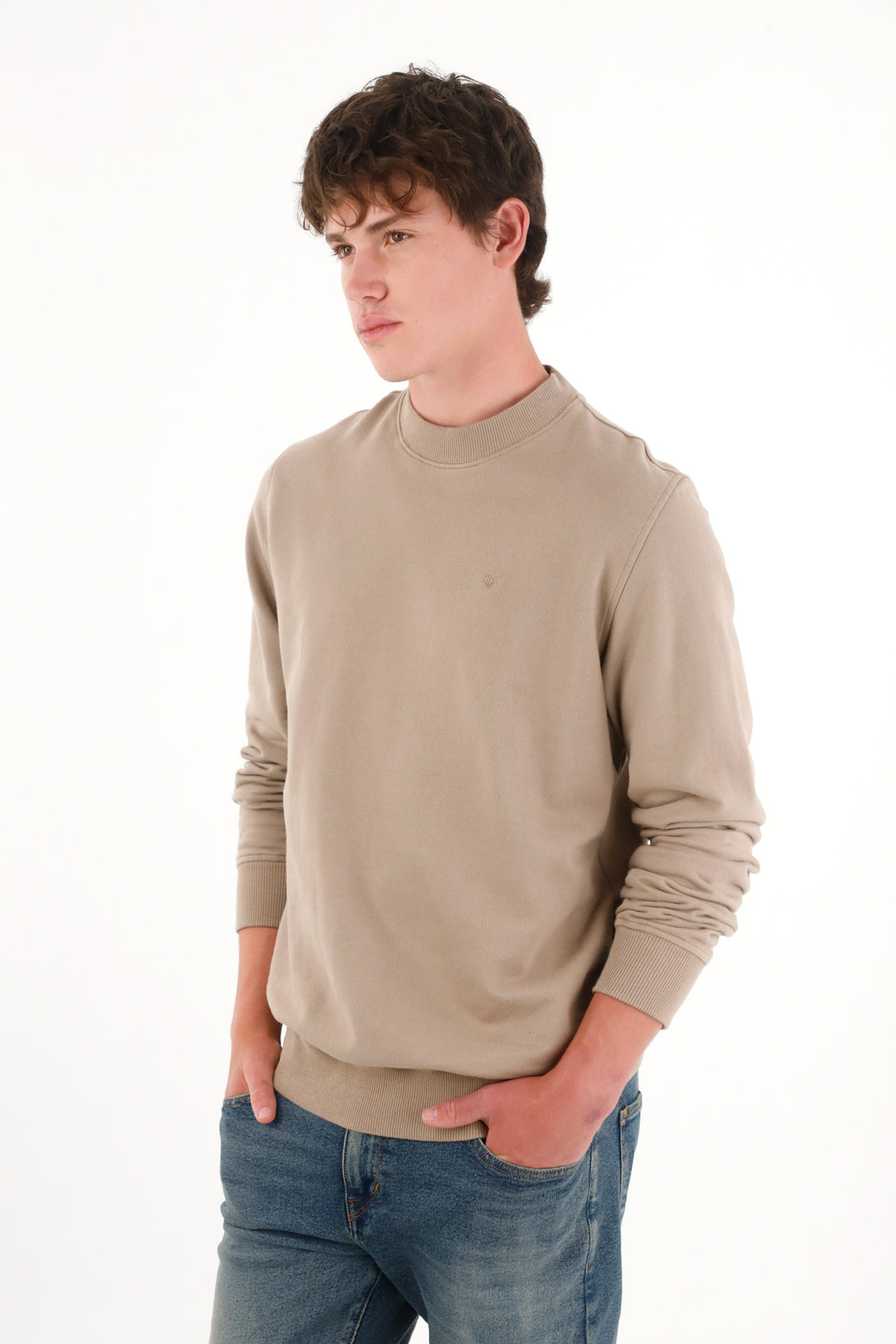 Gray Closed Design Crew Neck Sweatshirt for Men