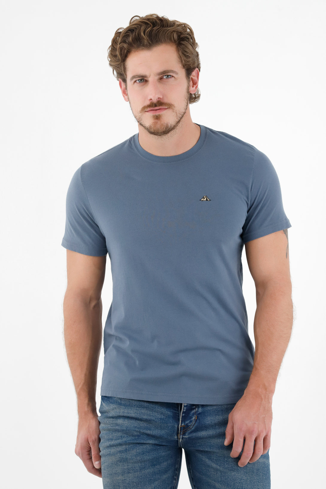 Men's Blue Mini Embroidery T-Shirt