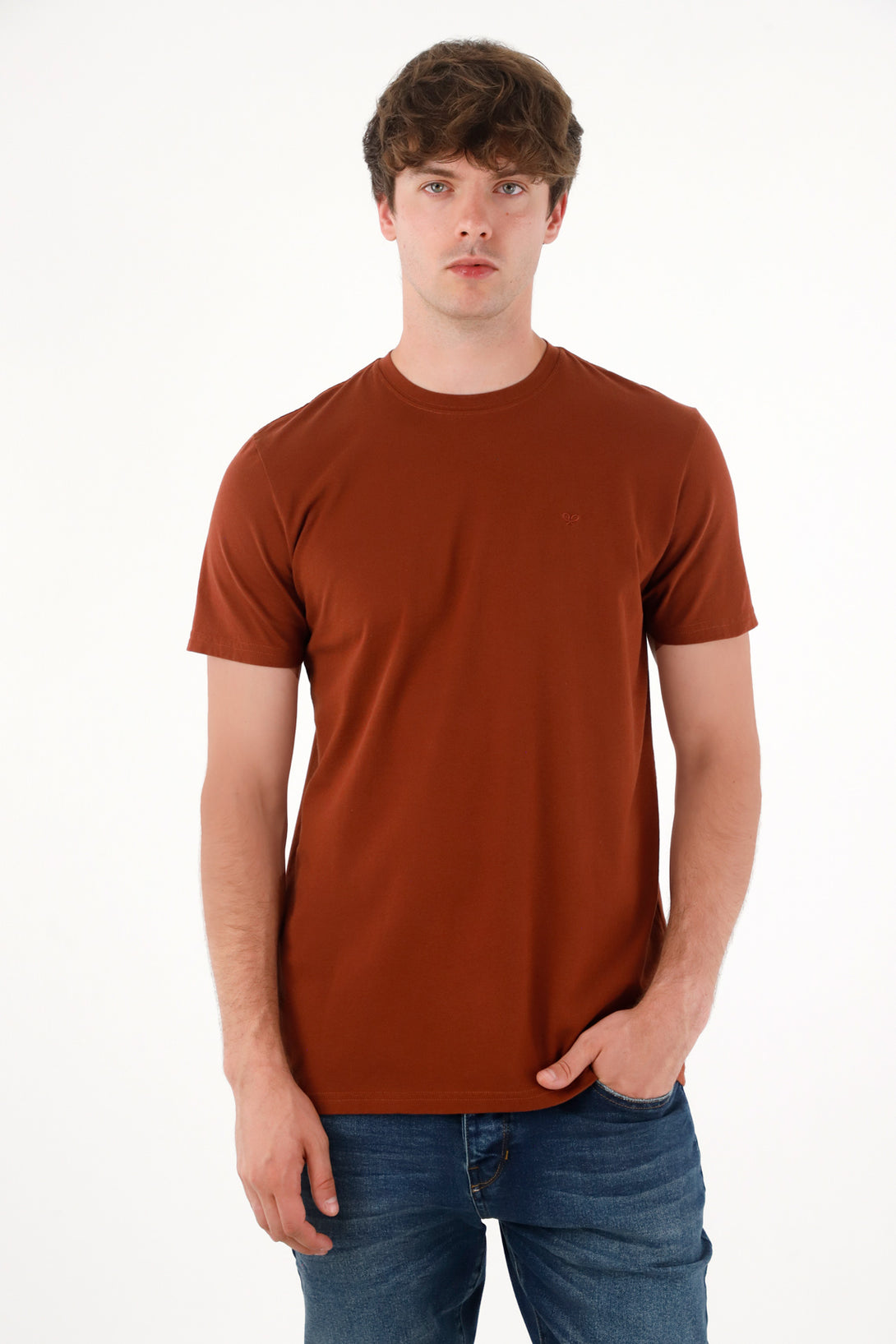 Camiseta manga corta en 100% algodón café para hombre
