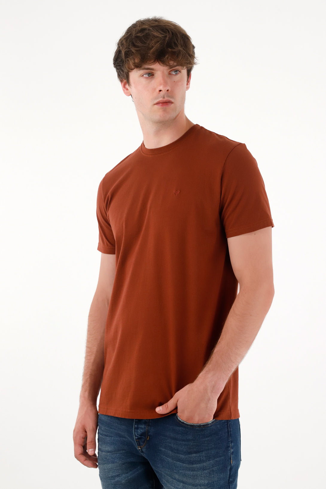 Camiseta manga corta en 100% algodón café para hombre